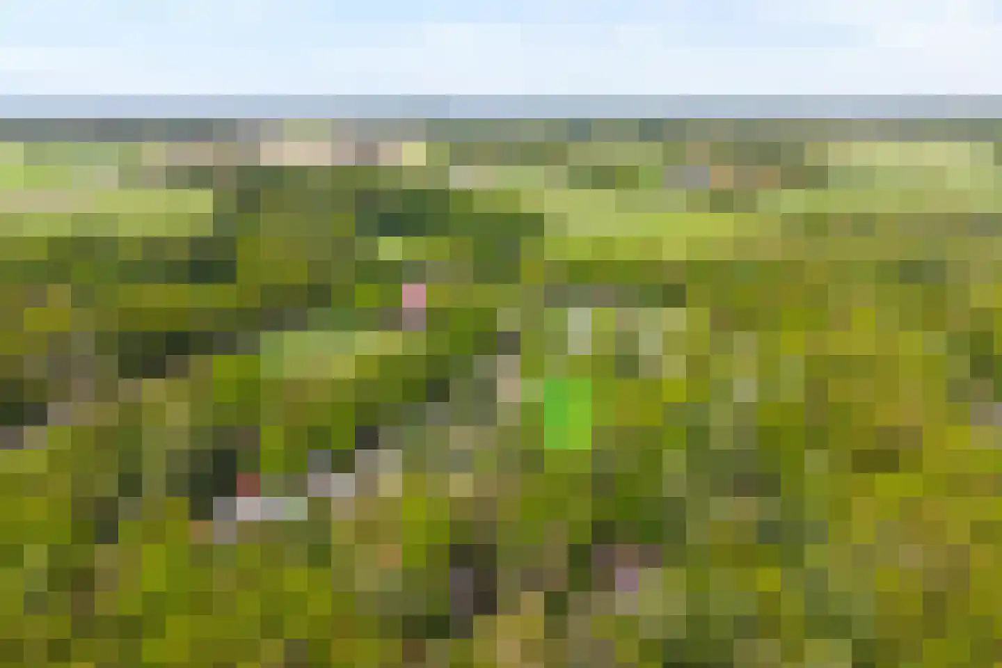 Wittebergweg 18 H5 Nutter thumbnail 25