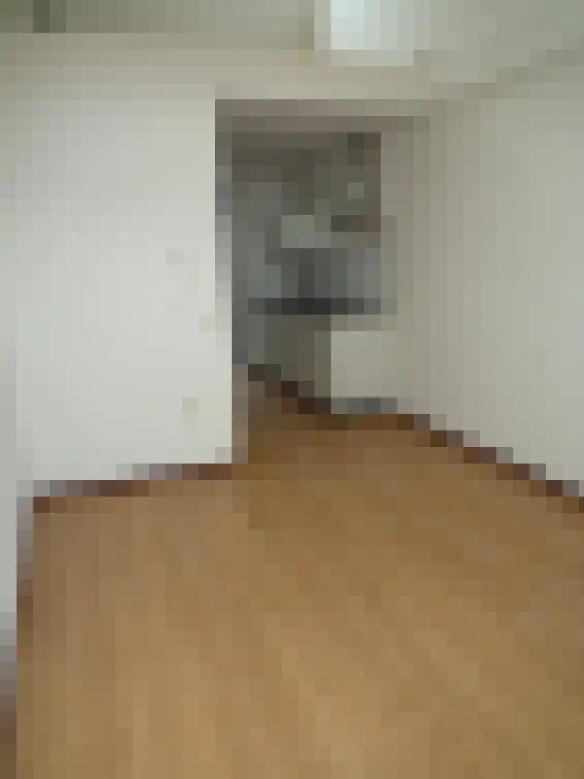 Wittebollestraat 20 Tilburg thumbnail 5