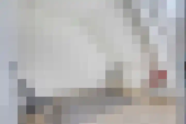 Wittebollestraat 41 Tilburg thumbnail 19