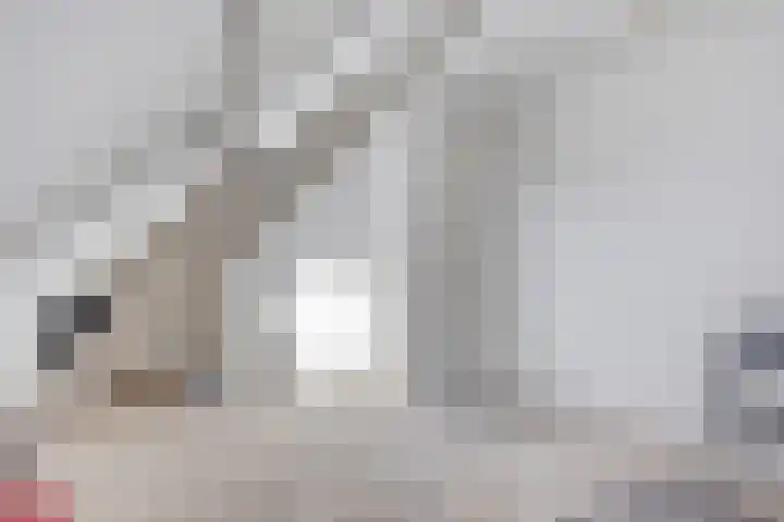 Wittebollestraat 41 Tilburg thumbnail 21