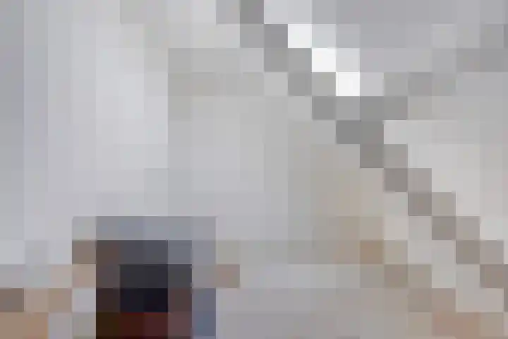 Wittebollestraat 41 Tilburg thumbnail 23