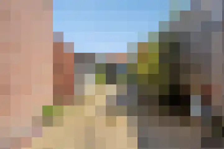 Wittebollestraat 41 Tilburg thumbnail 25