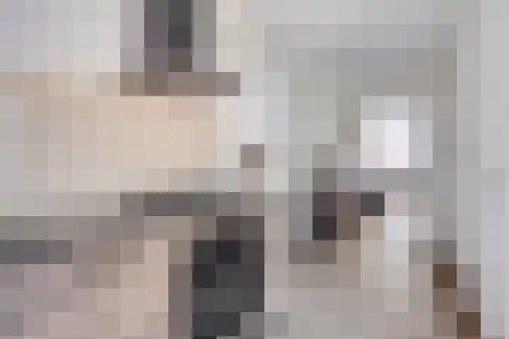 Wittebollestraat 41 Tilburg thumbnail 4