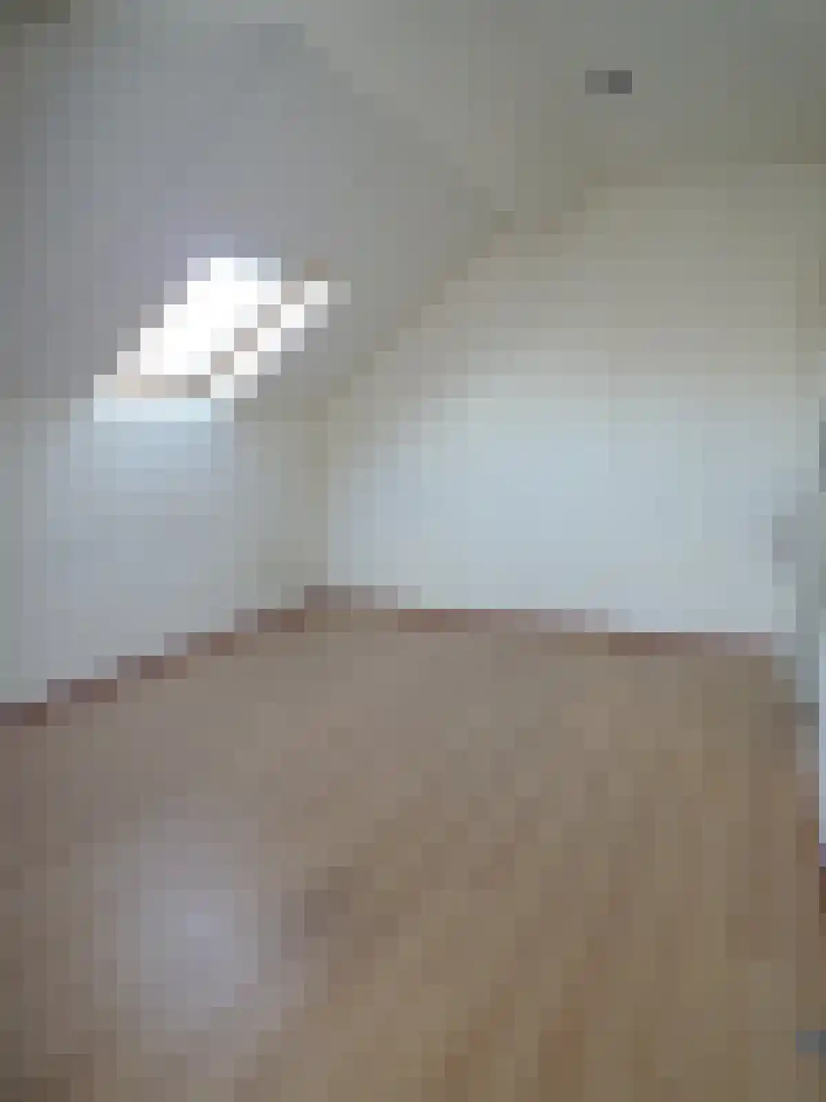 Wittebollestraat 43 Tilburg thumbnail 5
