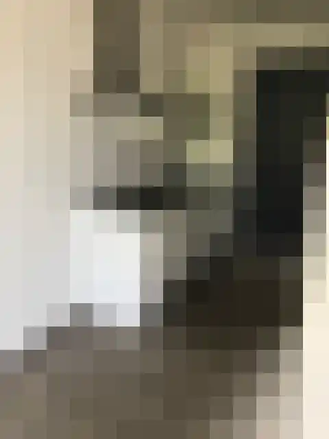 Wittebollestraat Tilburg thumbnail 6