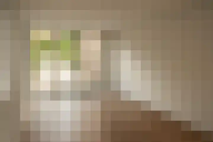 Wittebroodslaantje 2 Uitgeest thumbnail 10