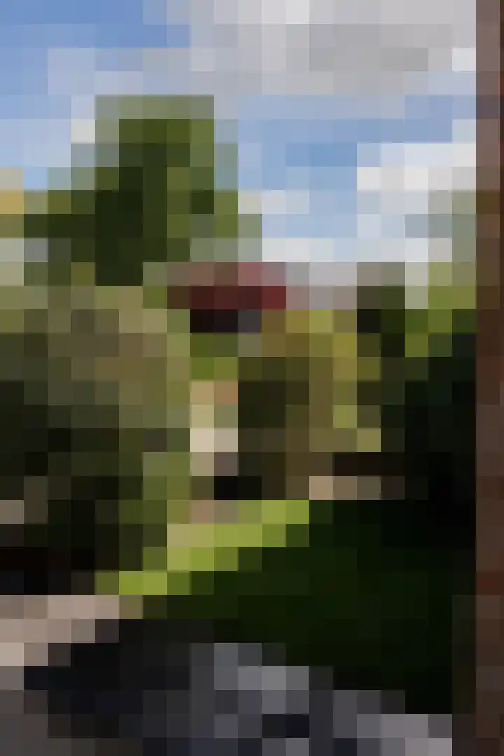 Wittebroodslaantje 2 Uitgeest thumbnail 12