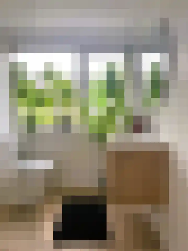 Wittebroodslaantje 2 Uitgeest thumbnail 13