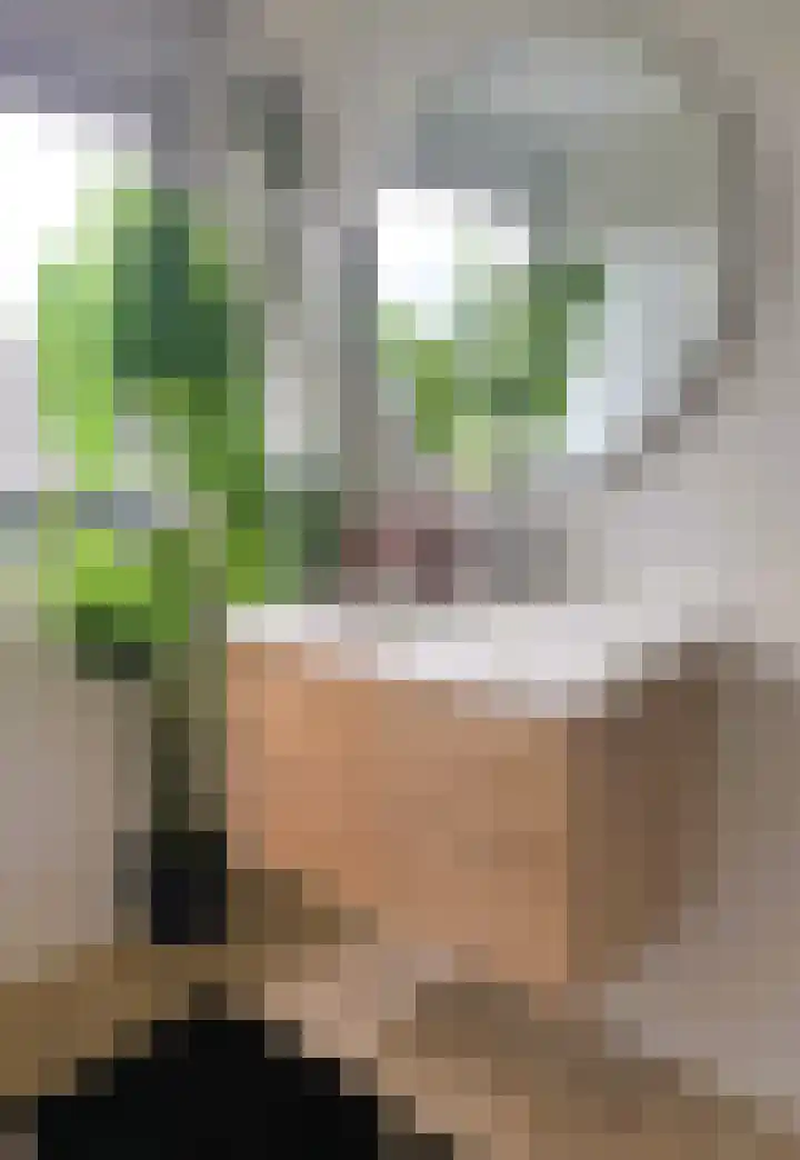 Wittebroodslaantje 2 Uitgeest thumbnail 14