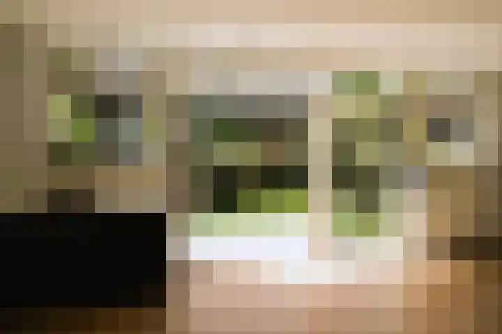 Wittebroodslaantje 2 Uitgeest thumbnail 16