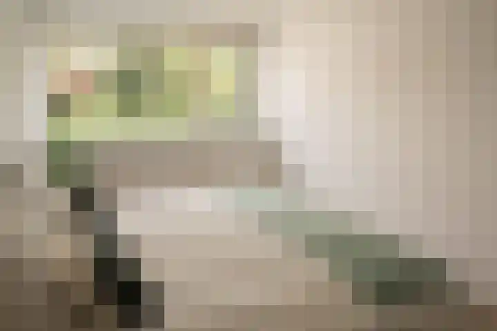 Wittebroodslaantje 2 Uitgeest thumbnail 21
