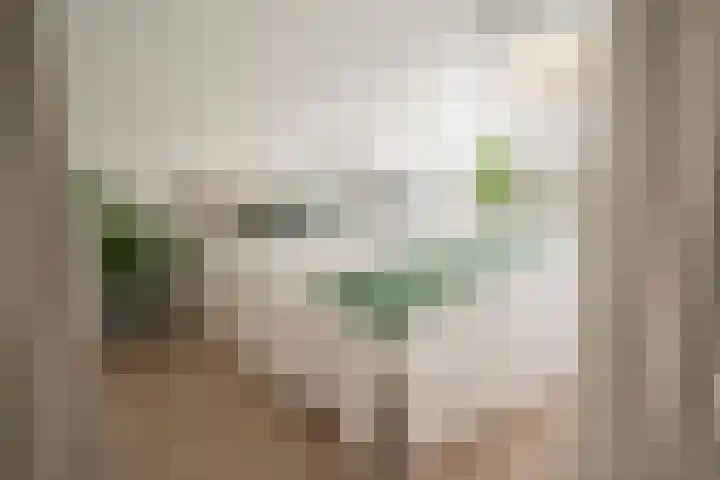 Wittebroodslaantje 2 Uitgeest thumbnail 22