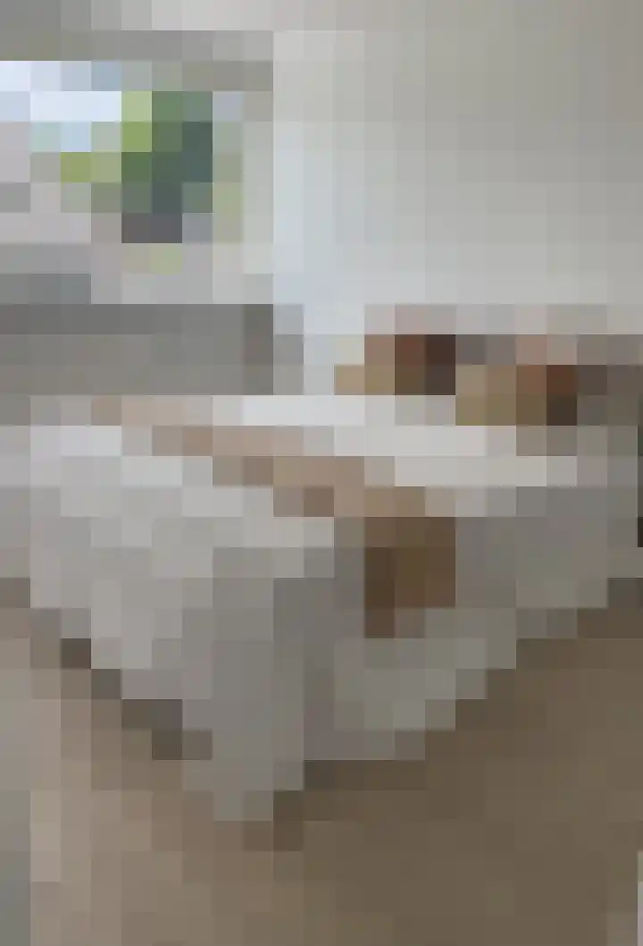 Wittebroodslaantje 2 Uitgeest thumbnail 23