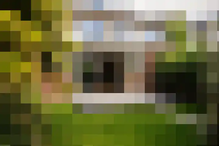 Wittebroodslaantje 2 Uitgeest thumbnail 4
