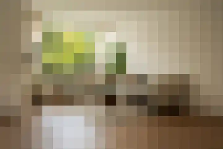 Wittebroodslaantje 2 Uitgeest thumbnail 7