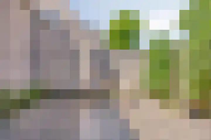 Wittebroodstraat 1 Heusden thumbnail 15