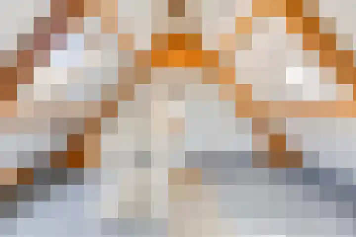 Wittebroodstraat 1 Heusden thumbnail 25