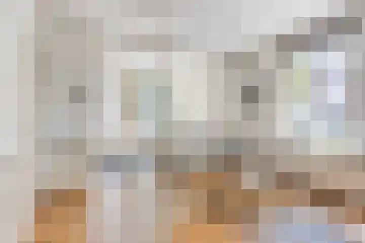 Wittebroodstraat 1 Heusden thumbnail 4
