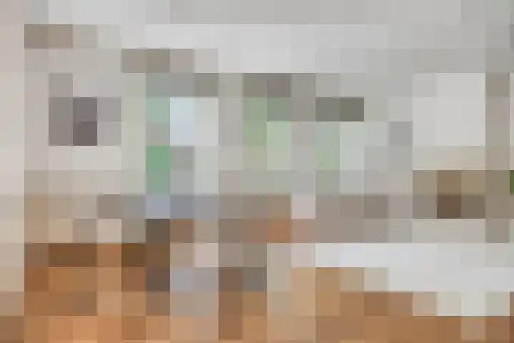 Wittebroodstraat 1 Heusden thumbnail 8