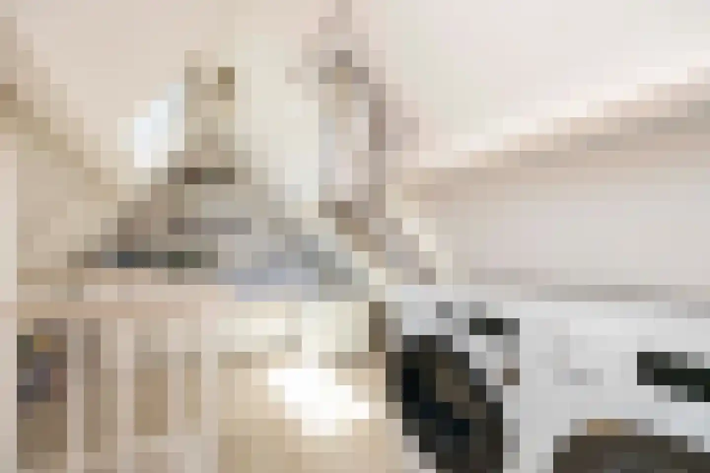 Wittebroodstraat 15 Heusden thumbnail 26