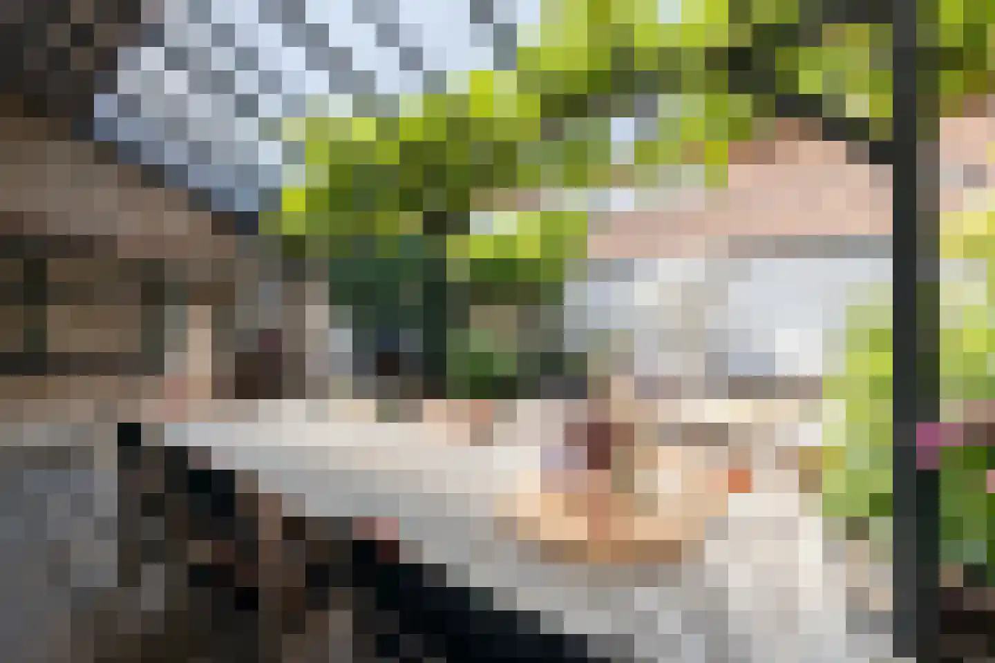 Wittebroodstraat 15 Heusden thumbnail 4