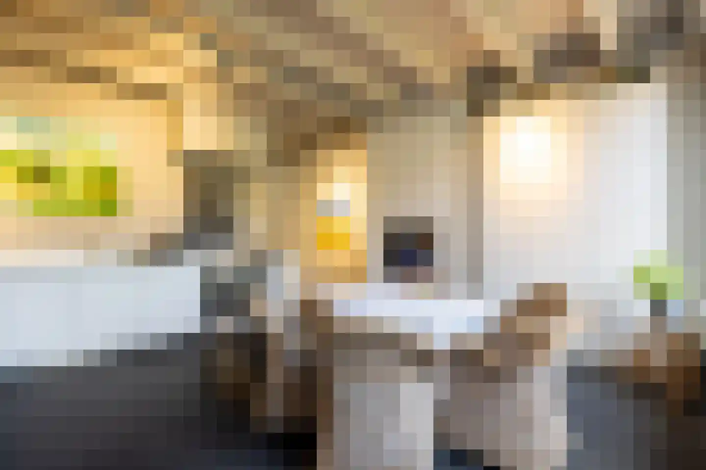 Wittebroodstraat 8 Heusden thumbnail 15