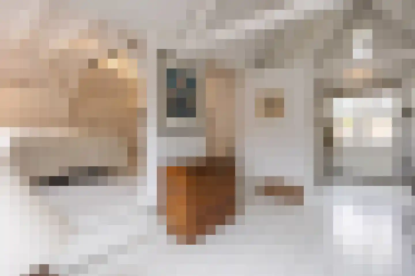 Wittebroodstraat 8 Heusden thumbnail 24