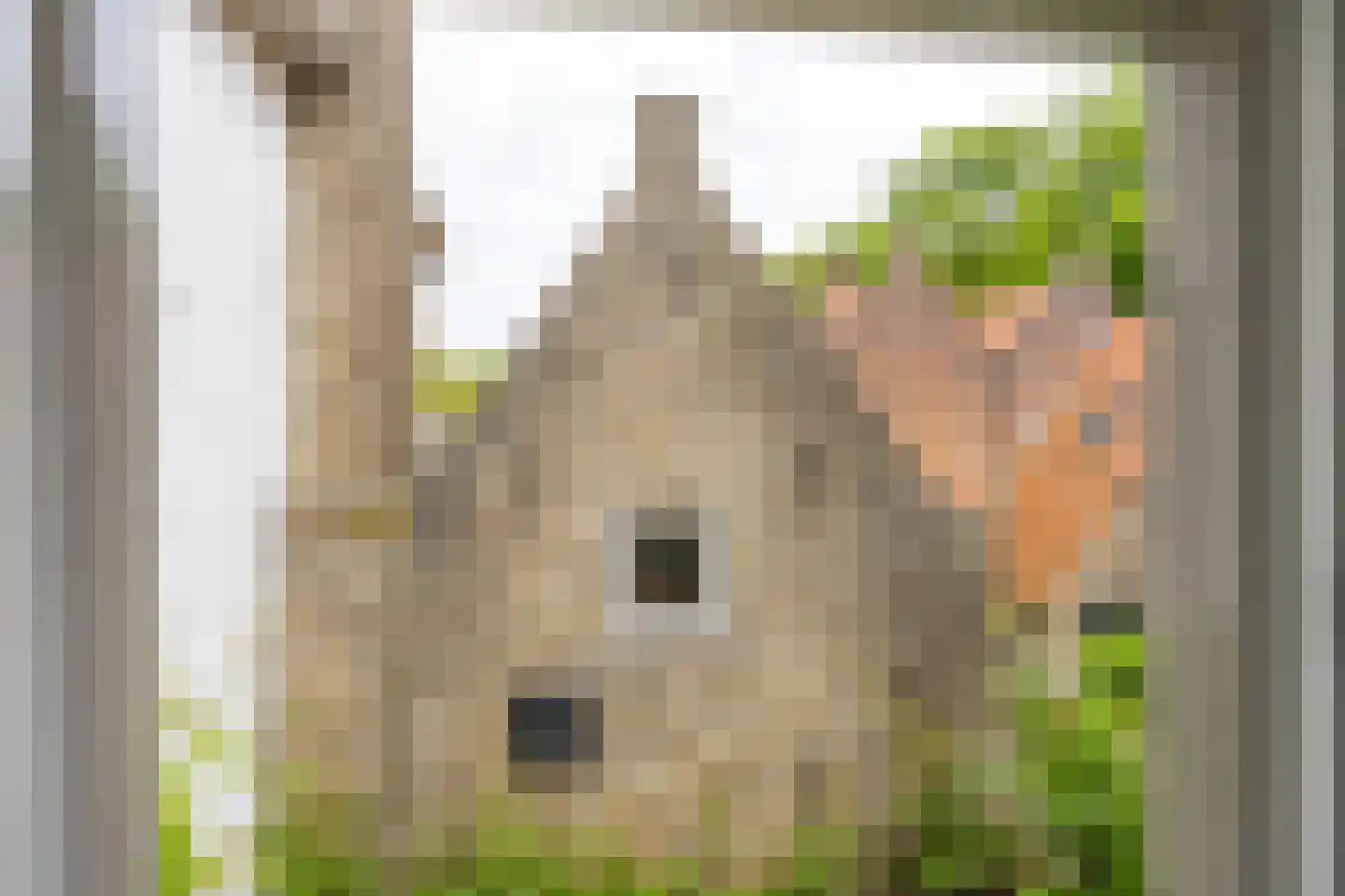 Wittebroodstraat 8 Heusden thumbnail 30