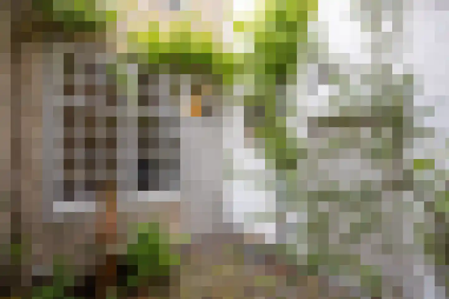 Wittebroodstraat 8 Heusden thumbnail 31