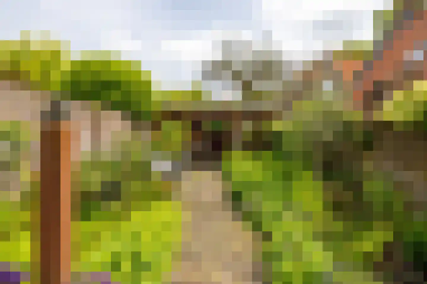 Wittebroodstraat 8 Heusden thumbnail 34