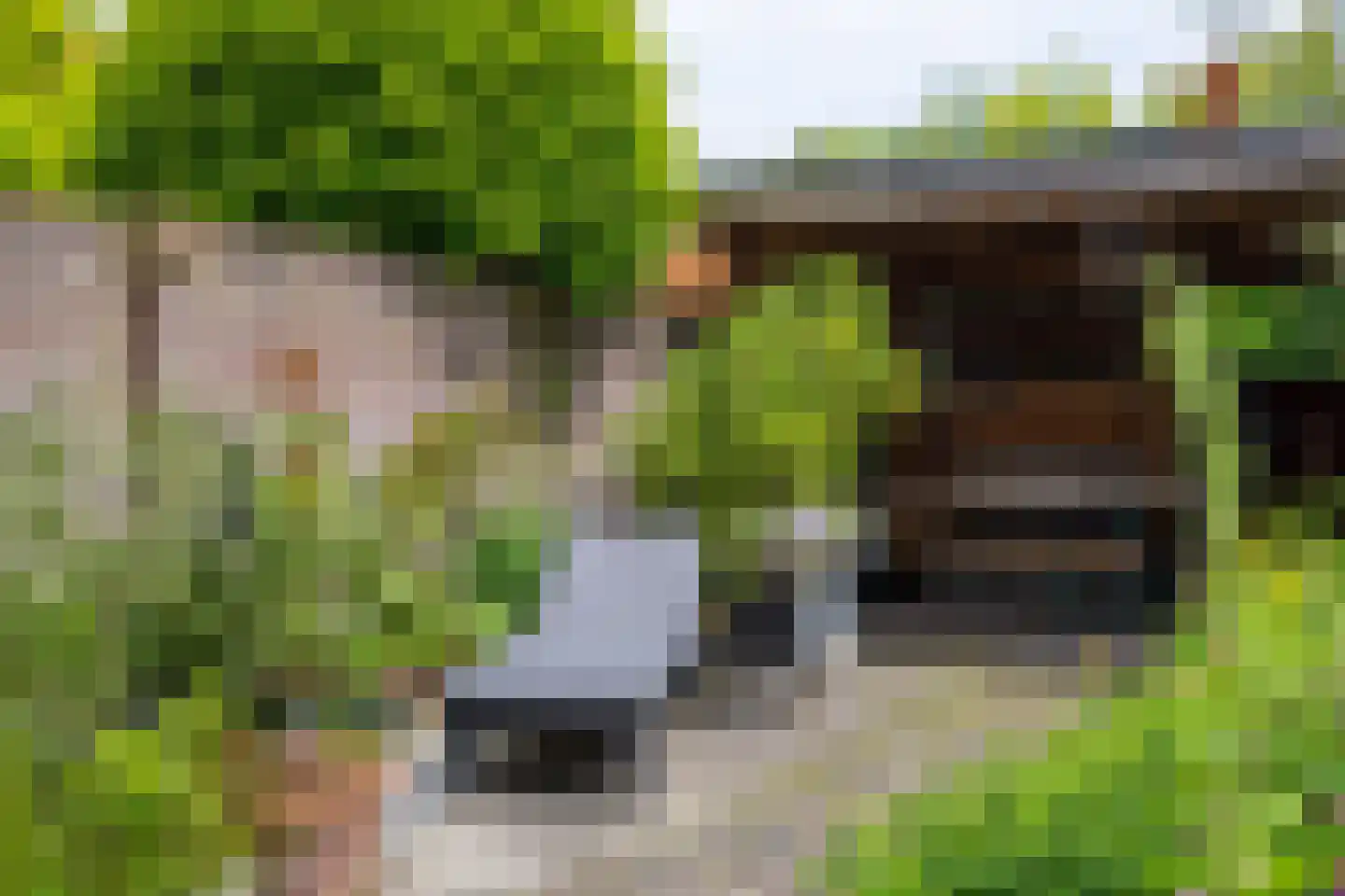 Wittebroodstraat 8 Heusden thumbnail 37