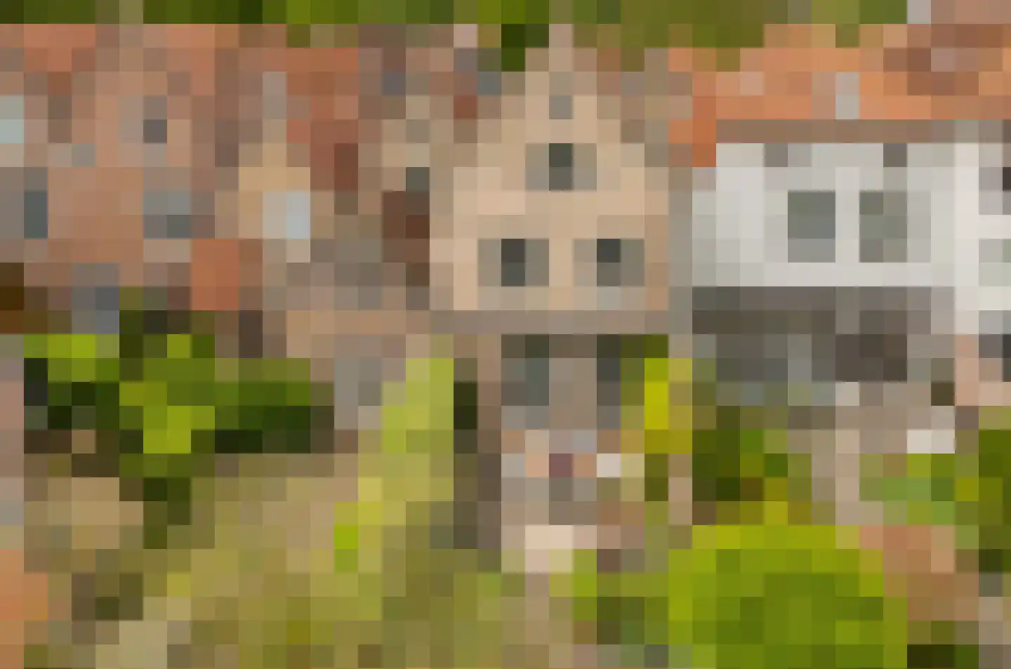 Wittebroodstraat 8 Heusden thumbnail 4