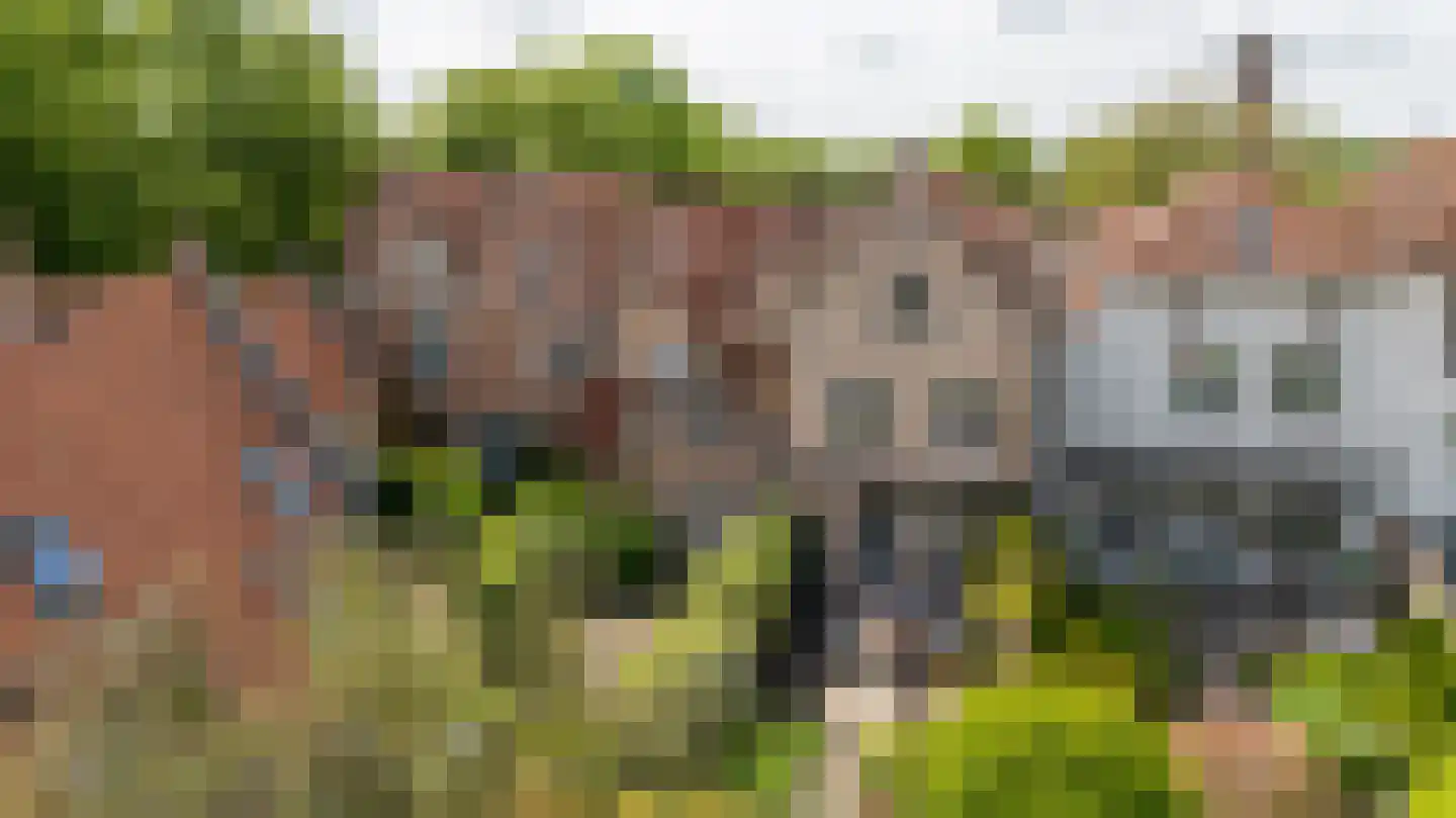 Wittebroodstraat 8 Heusden thumbnail 42