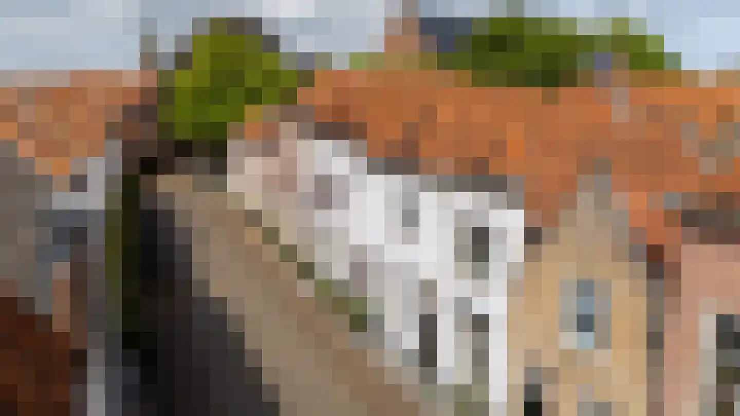 Wittebroodstraat 8 Heusden thumbnail 43