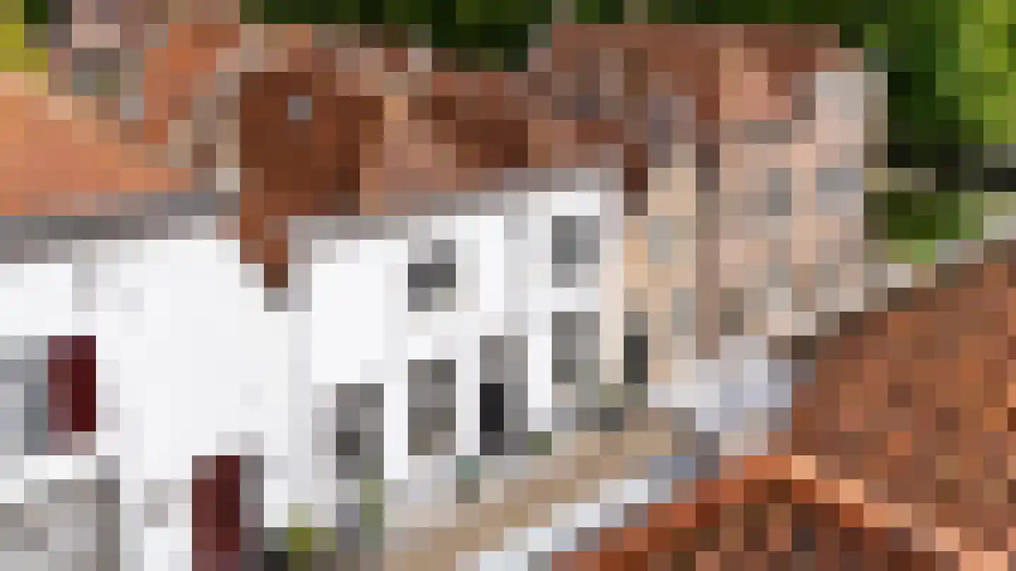 Wittebroodstraat 8 Heusden thumbnail 44