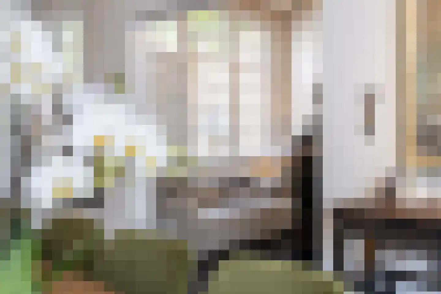 Wittebroodstraat 8 Heusden thumbnail 9