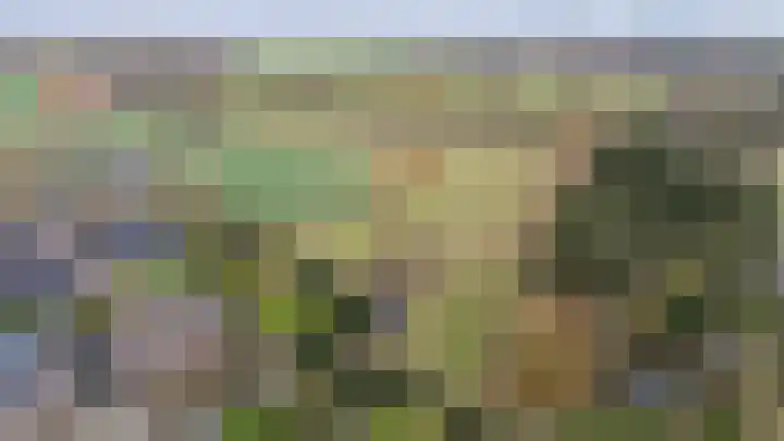 Wittehemelweg 21 Drempt thumbnail 11