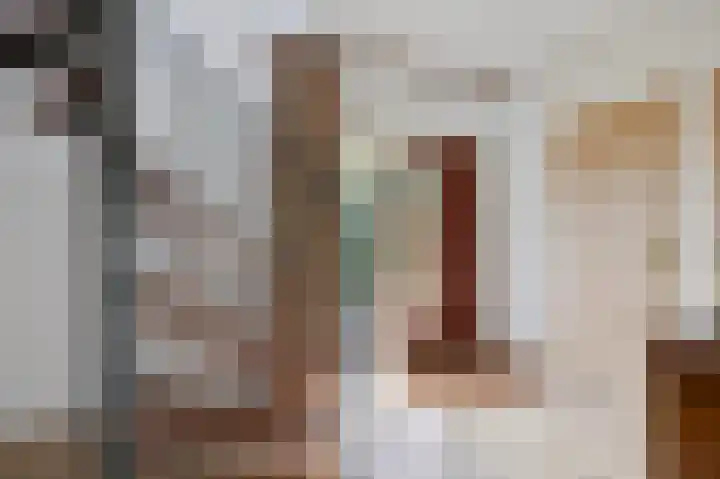 Wittehemelweg 21 Drempt thumbnail 13
