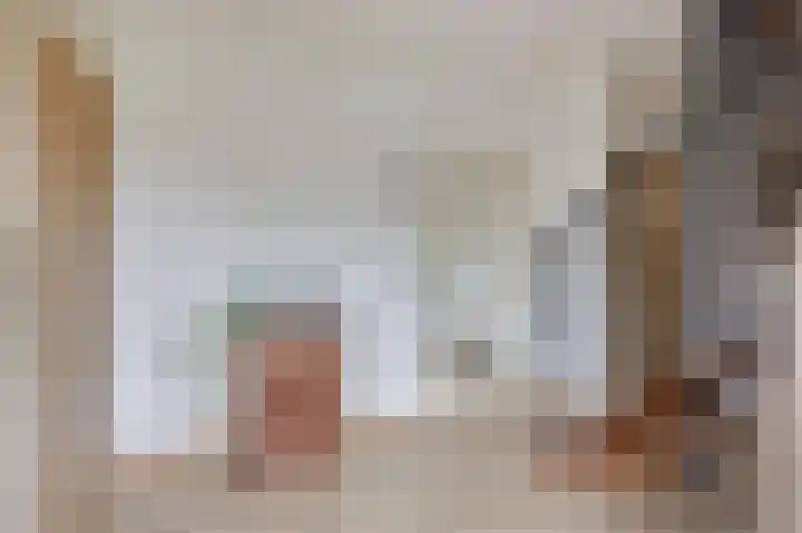 Wittehemelweg 21 Drempt thumbnail 15