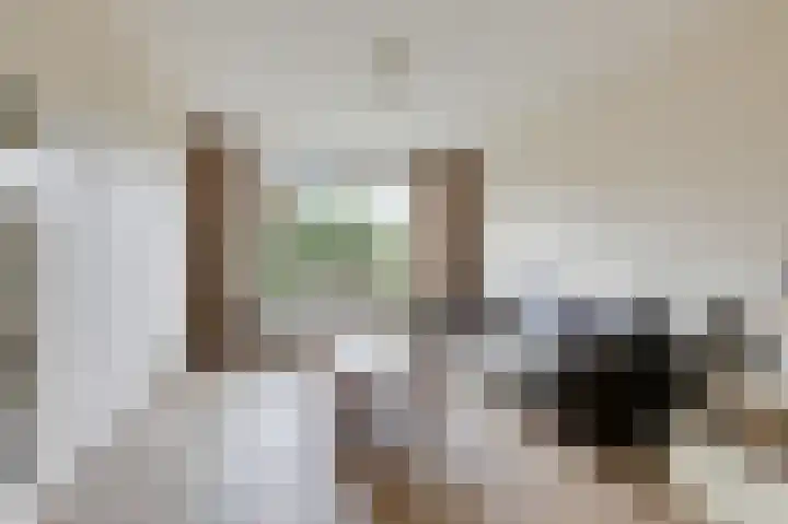 Wittehemelweg 21 Drempt thumbnail 17
