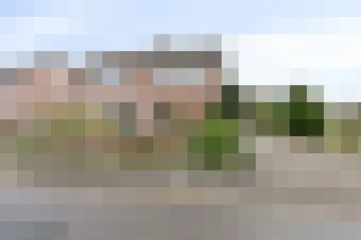 Wittehemelweg 21 Drempt foto 2