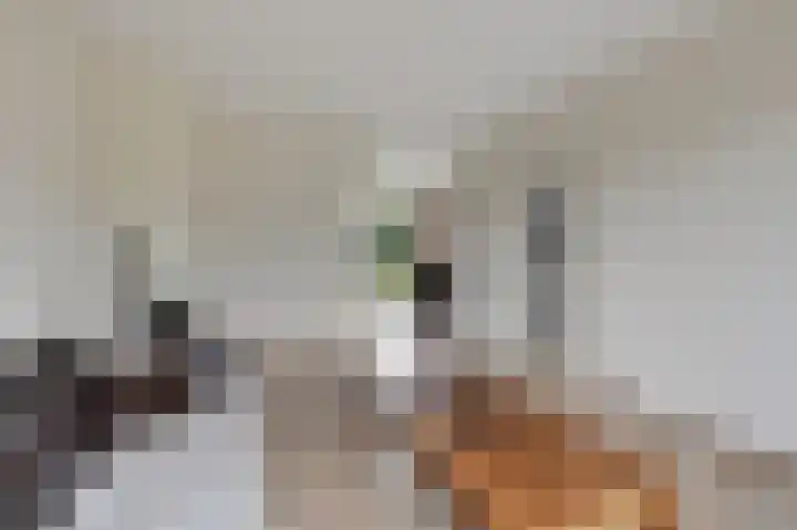 Wittehemelweg 21 Drempt thumbnail 20
