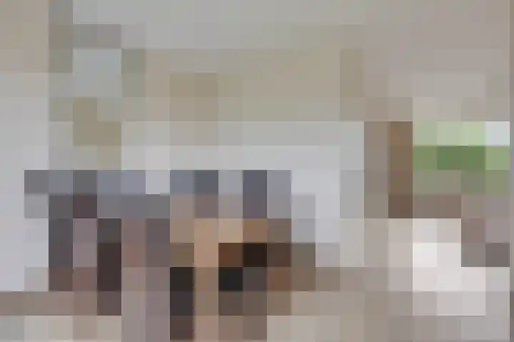 Wittehemelweg 21 Drempt thumbnail 21
