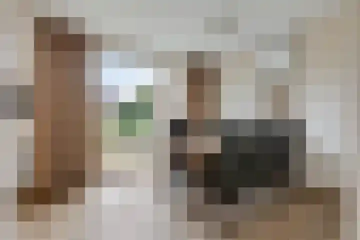 Wittehemelweg 21 Drempt thumbnail 23