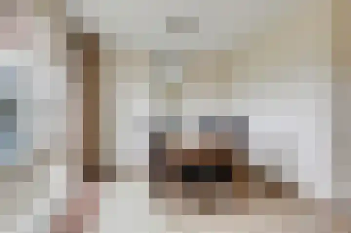 Wittehemelweg 21 Drempt thumbnail 24
