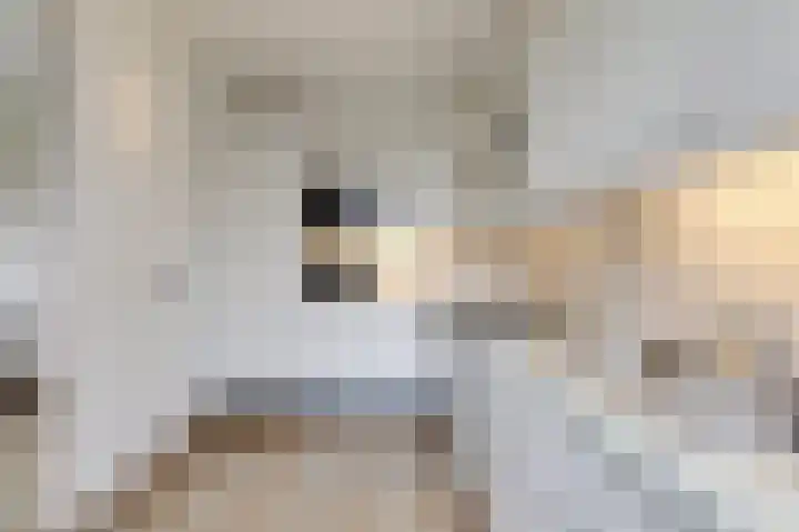 Wittehemelweg 21 Drempt thumbnail 26