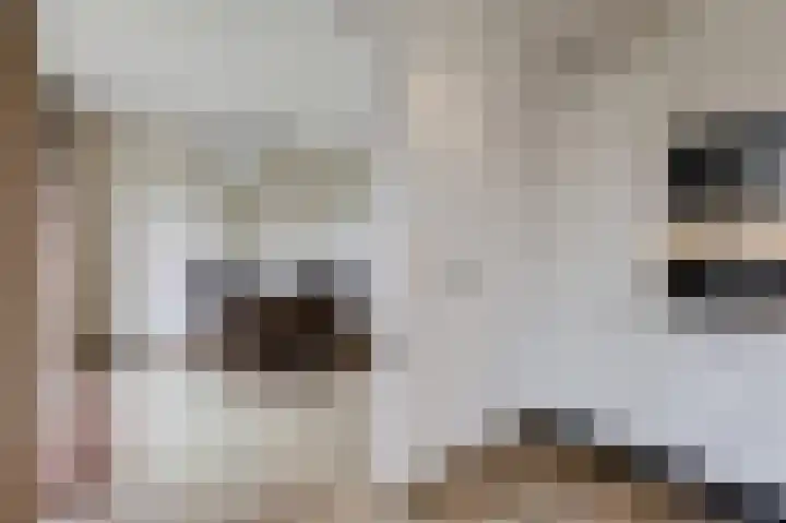 Wittehemelweg 21 Drempt thumbnail 27