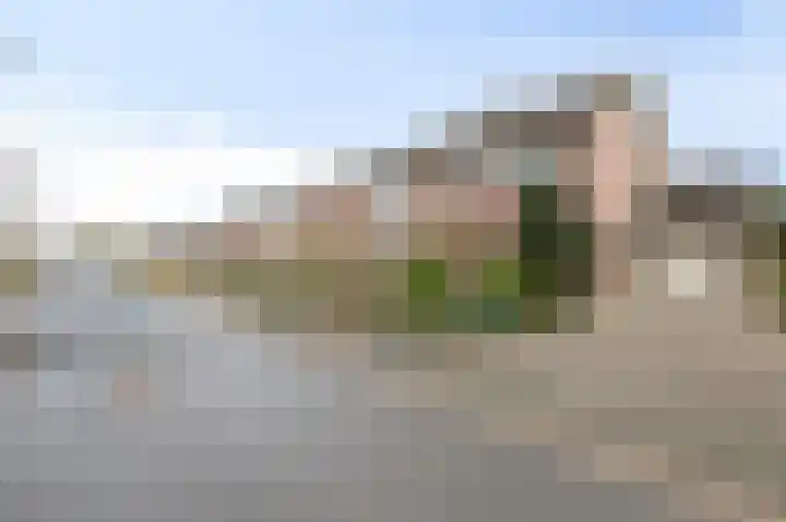 Wittehemelweg 21 Drempt foto 3