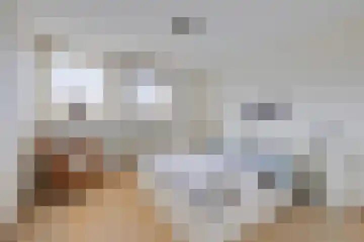 Wittehemelweg 21 Drempt thumbnail 30
