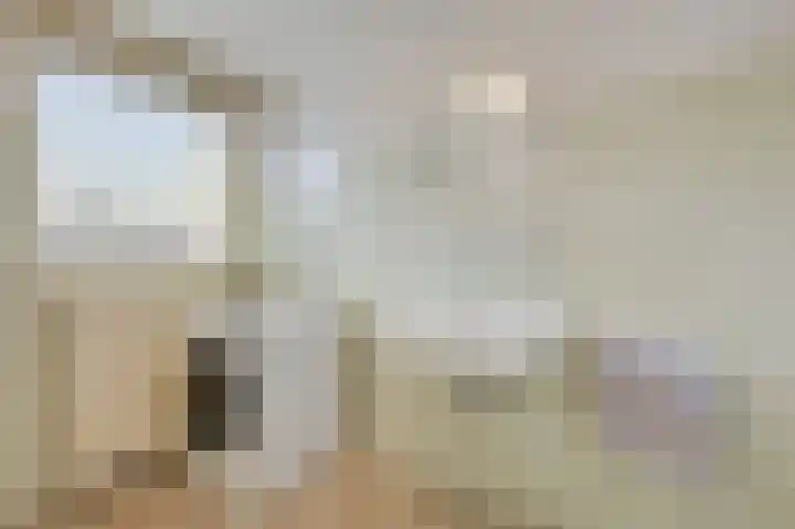 Wittehemelweg 21 Drempt thumbnail 35